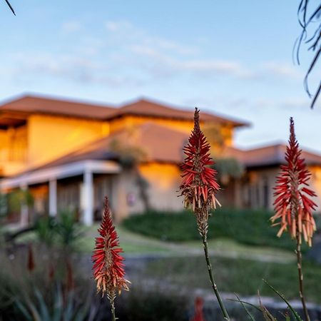 Blue Rain Guest House Блумфонтейн Экстерьер фото